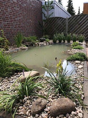 Natürlicher Teich mit Kiesbett und Teichbepflanzung