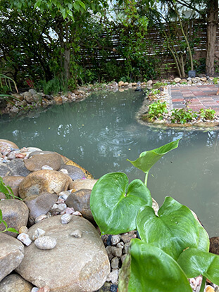 natürlicher Teich mit Kiesufer und Bepflanzung